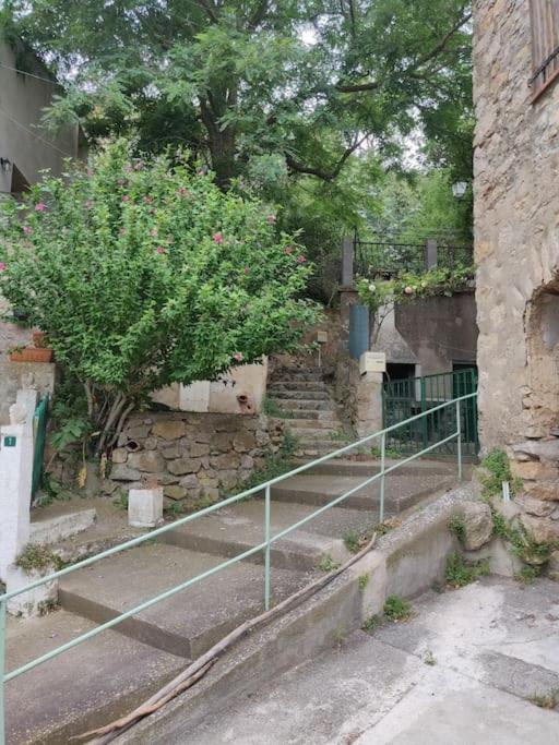 Villa Vilata A Padern Dans Les Corbieres Sauvages Esterno foto